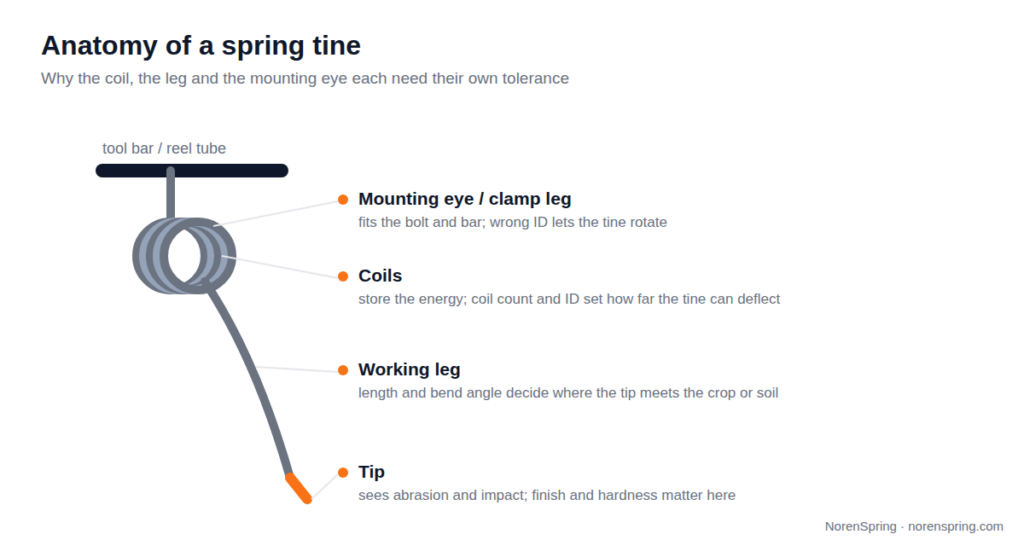 Schematic of a spring tine hanging from a tool bar, with labels for the mounting eye, the coils, the working leg and the tip, and what each part controls.